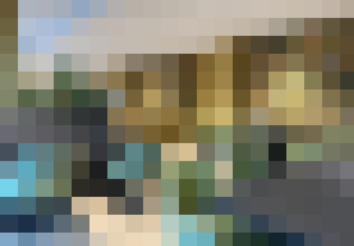 Image 30