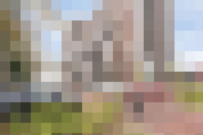 Image 14