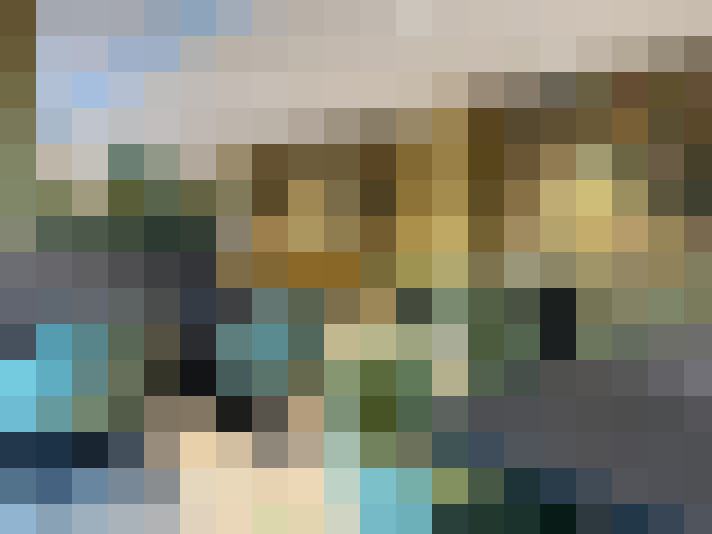 Image 29