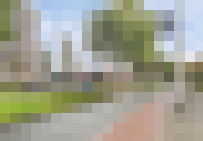 Image 20