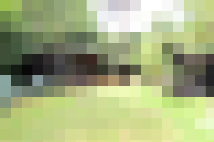 Image 62
