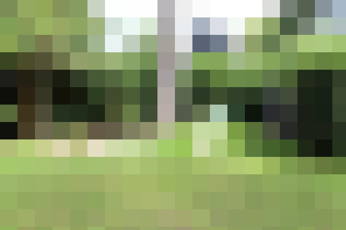 Image 32