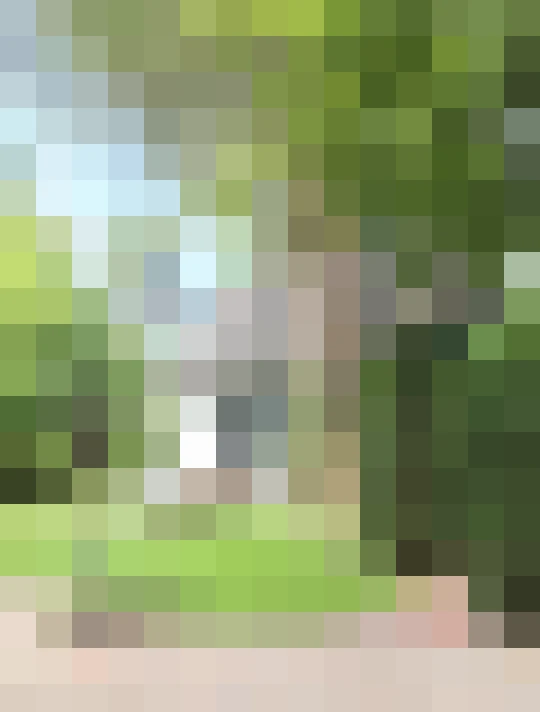 Image 30