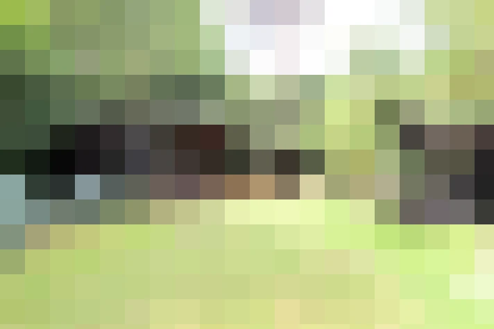 Image 34