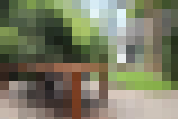 Image 28
