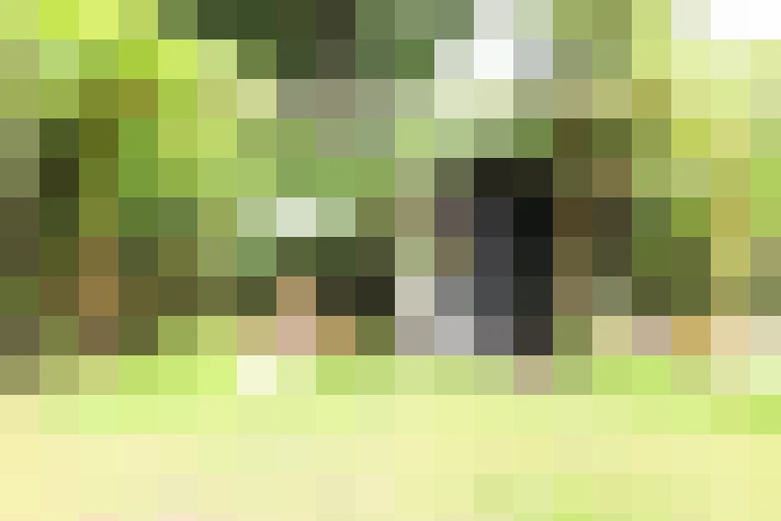 Image 33