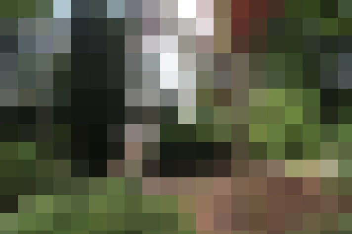 Image 56