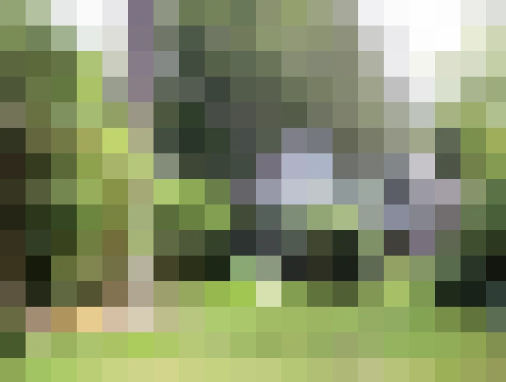 Image 31