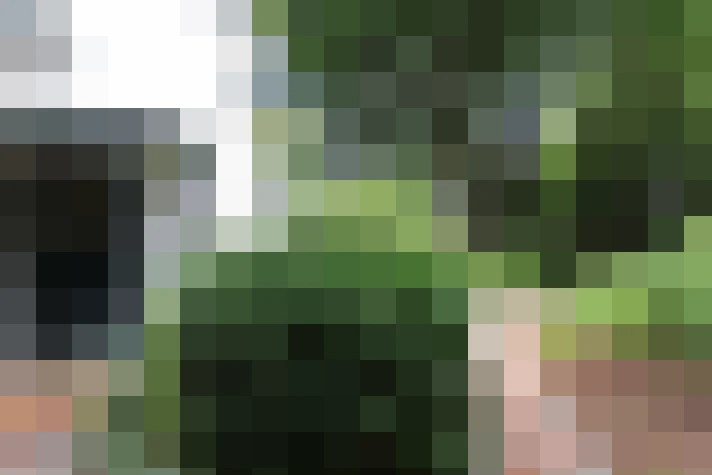 Image 58