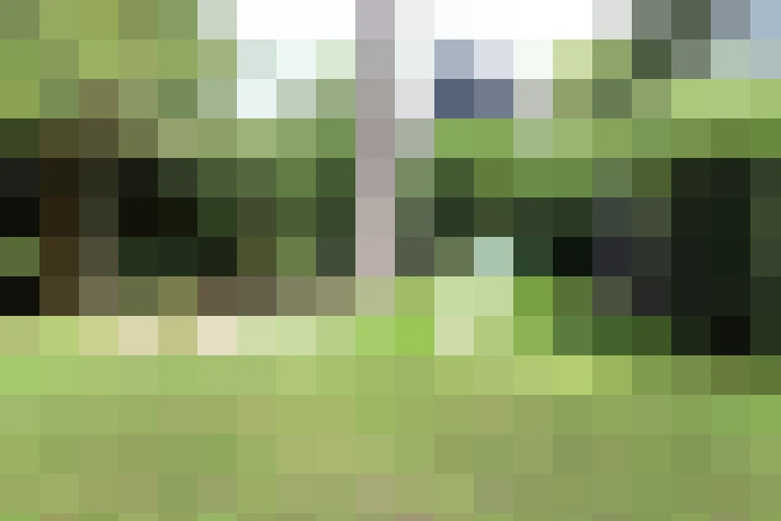 Image 58