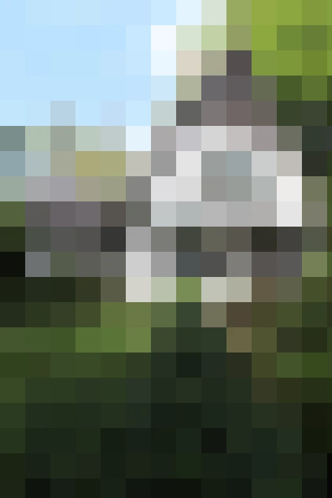 Image 110