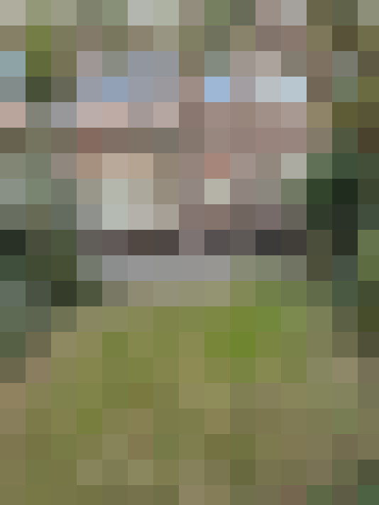 Image 16