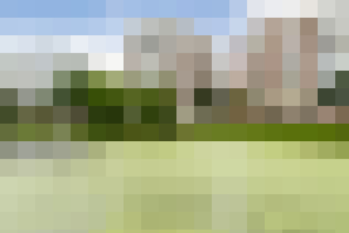 Image 39