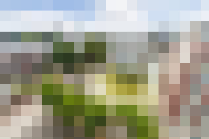 Image 36