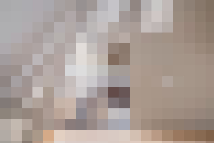 Image 29