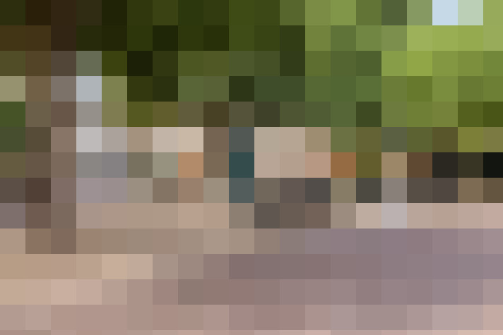 Image 27