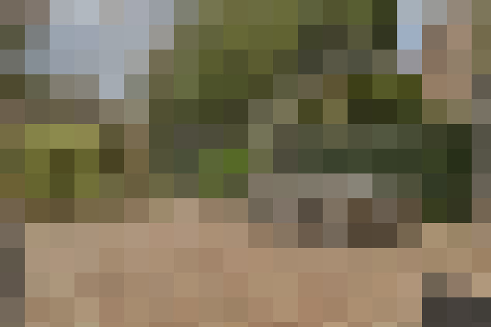 Image 13