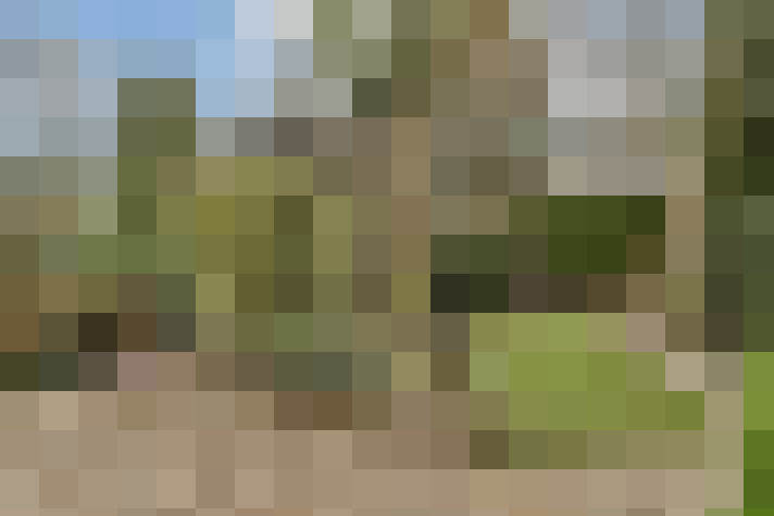 Image 14