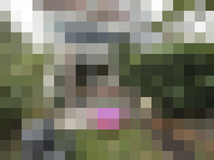 Image 13