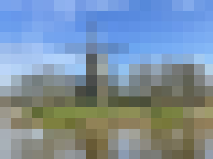 Image 14