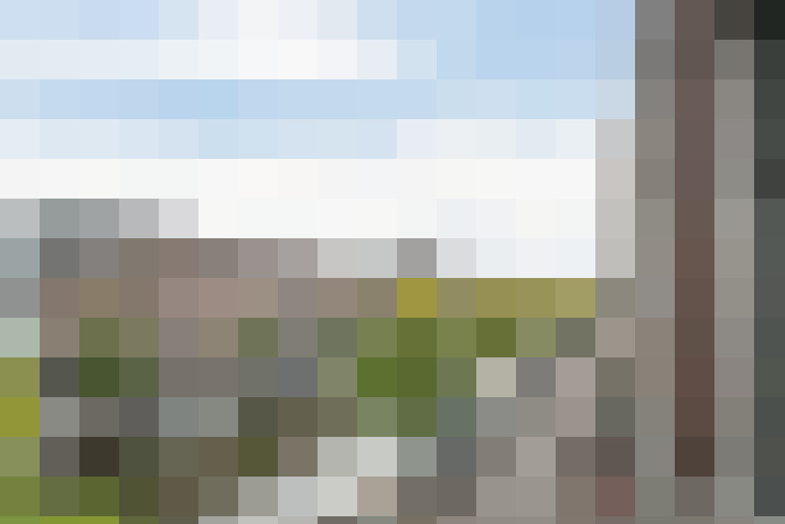 Image 16