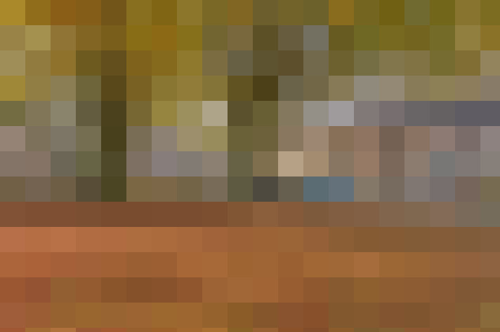 Image 30