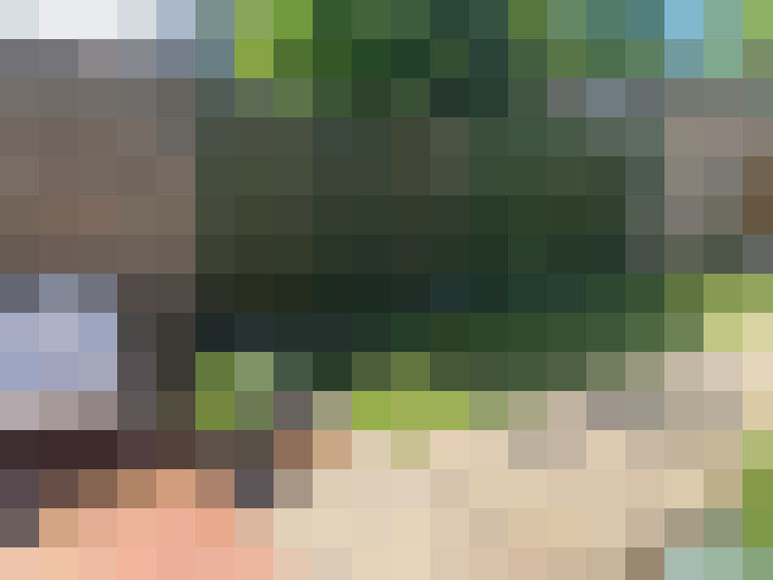 Image 29