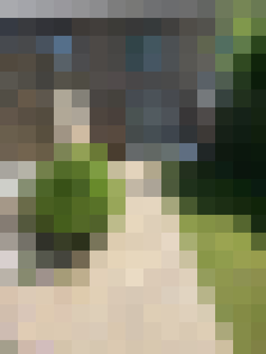 Image 31