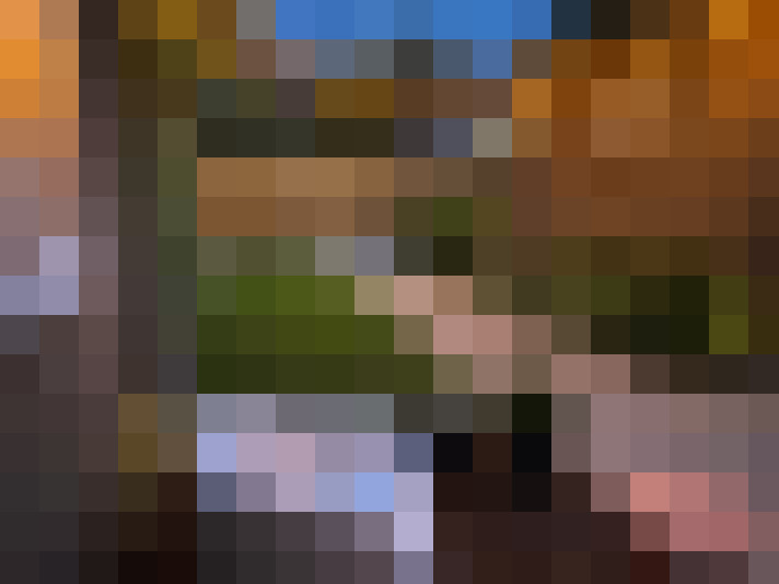Image 27