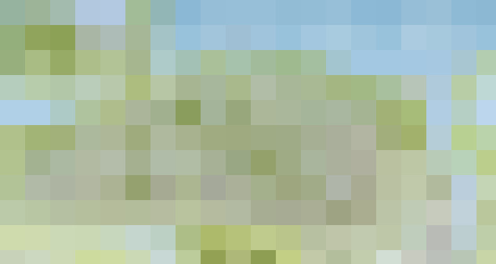 Image 30