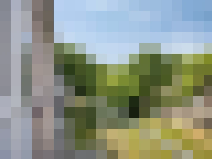 Image 22