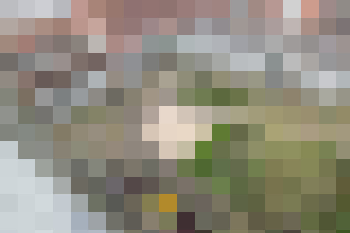 Image 20