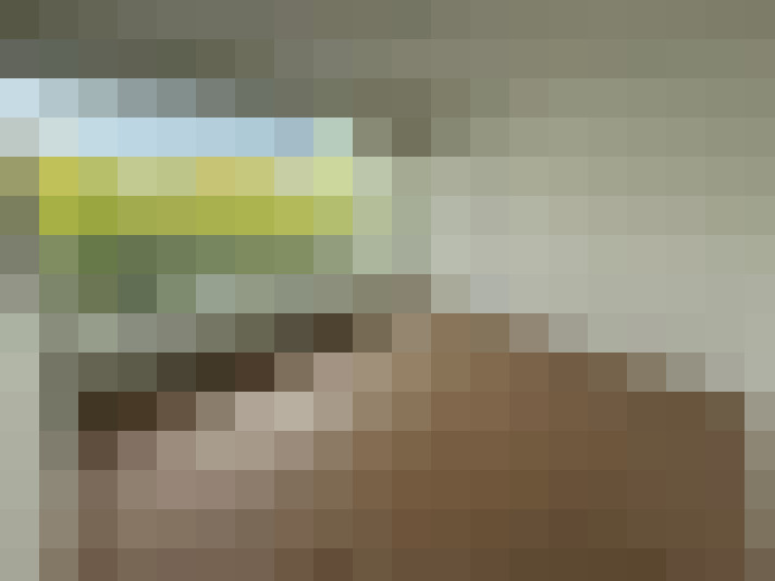 / #20