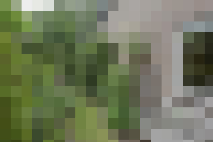 Image 25