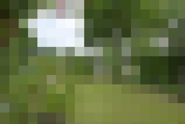 Image 26