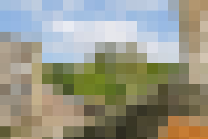 Image 15