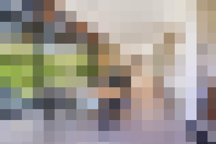 Image 17