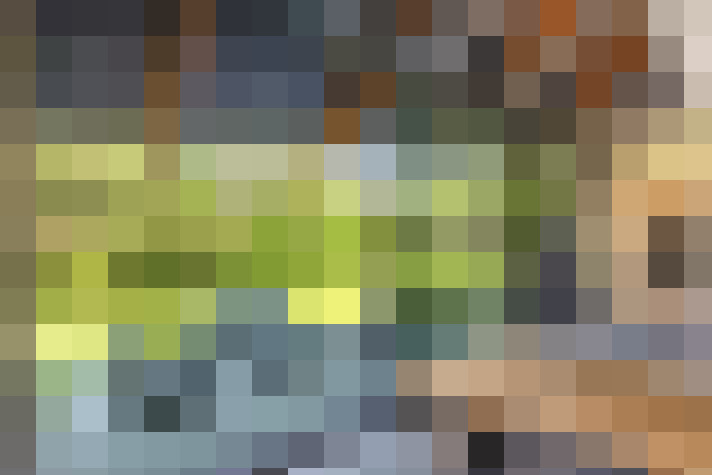 Image 25