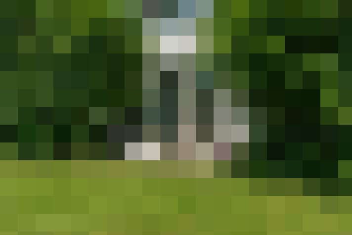 Image 70