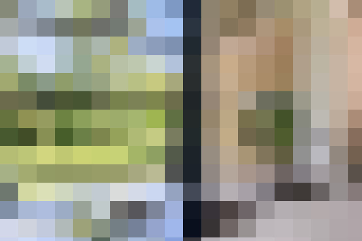 Image 23