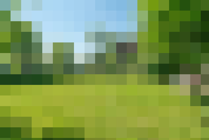 Image 67