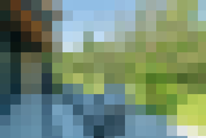 Image 26