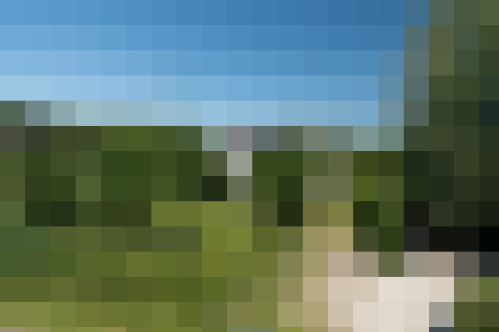 Image 61