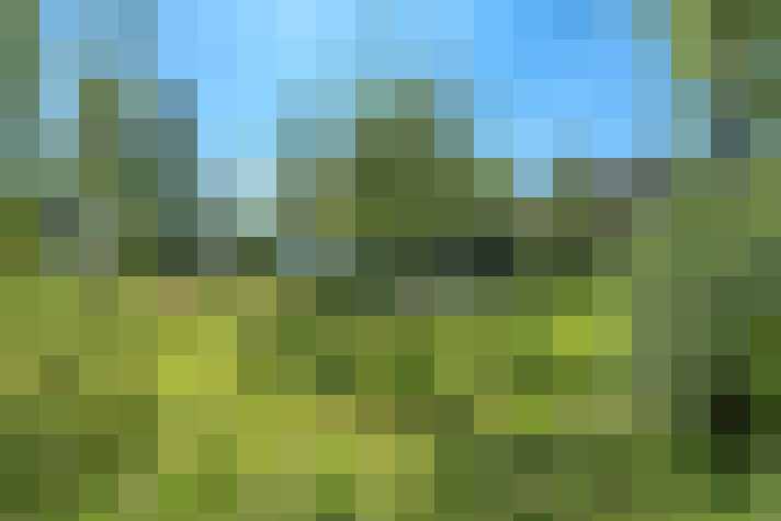 Image 68