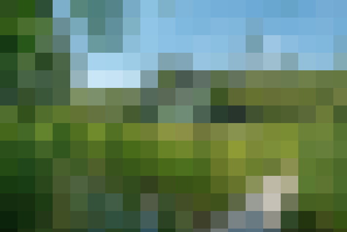 Image 66