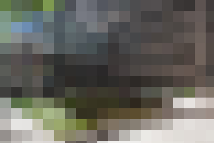 Image 15