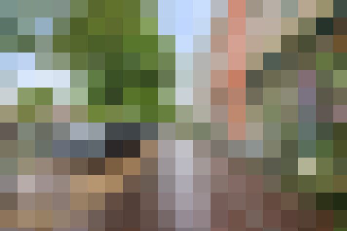 Image 28