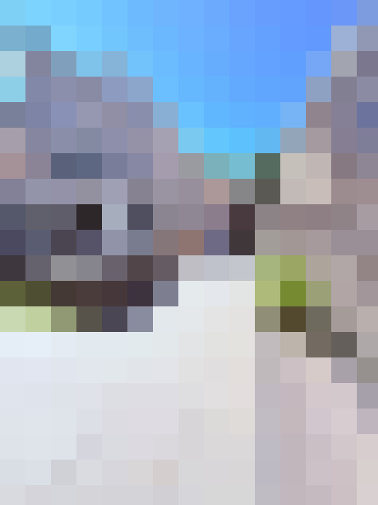Image 42