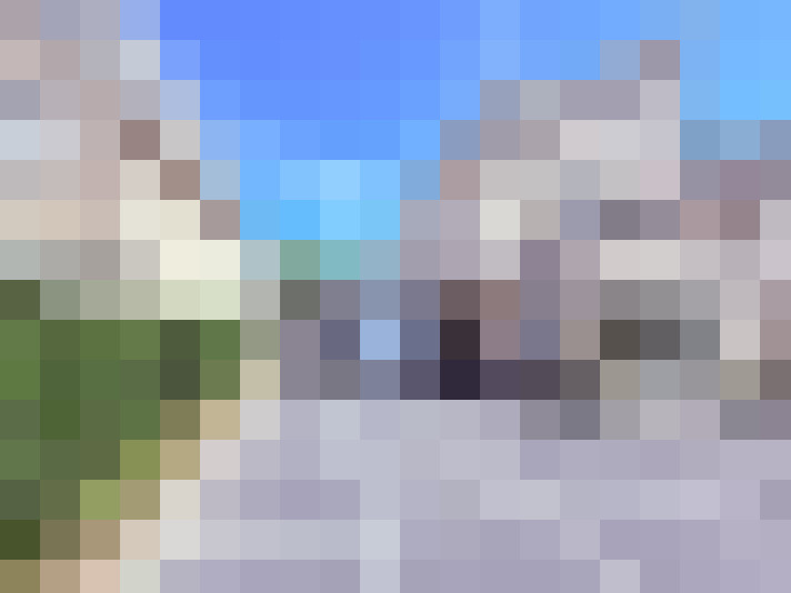 Image 50