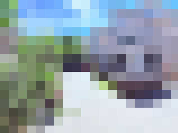 Image 39